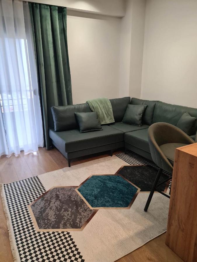 Grey Luxury Apartment Gjirokastra Zewnętrze zdjęcie