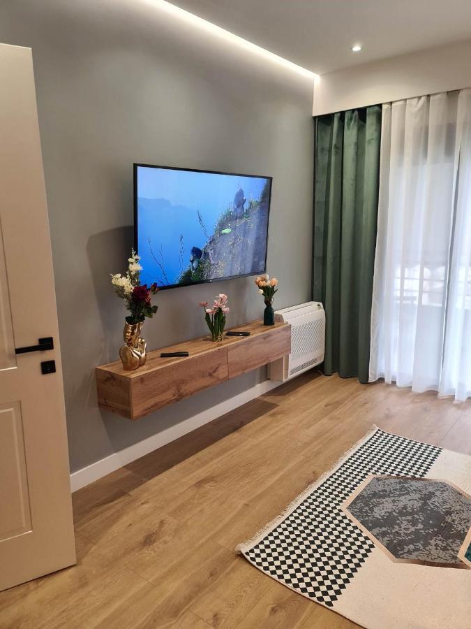 Grey Luxury Apartment Gjirokastra Zewnętrze zdjęcie