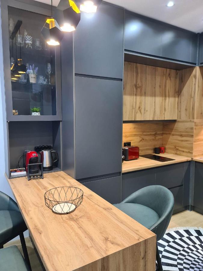 Grey Luxury Apartment Gjirokastra Zewnętrze zdjęcie