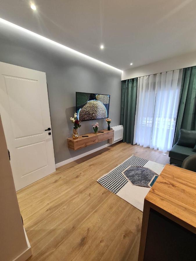 Grey Luxury Apartment Gjirokastra Zewnętrze zdjęcie