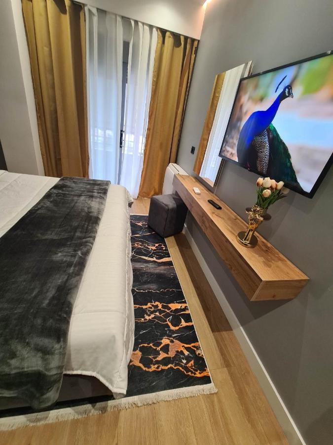 Grey Luxury Apartment Gjirokastra Zewnętrze zdjęcie